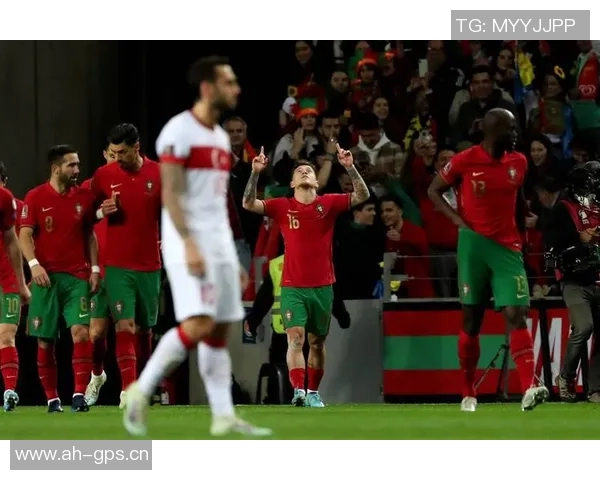 居莱尔展望未来努力助力土耳其重返世界杯舞台